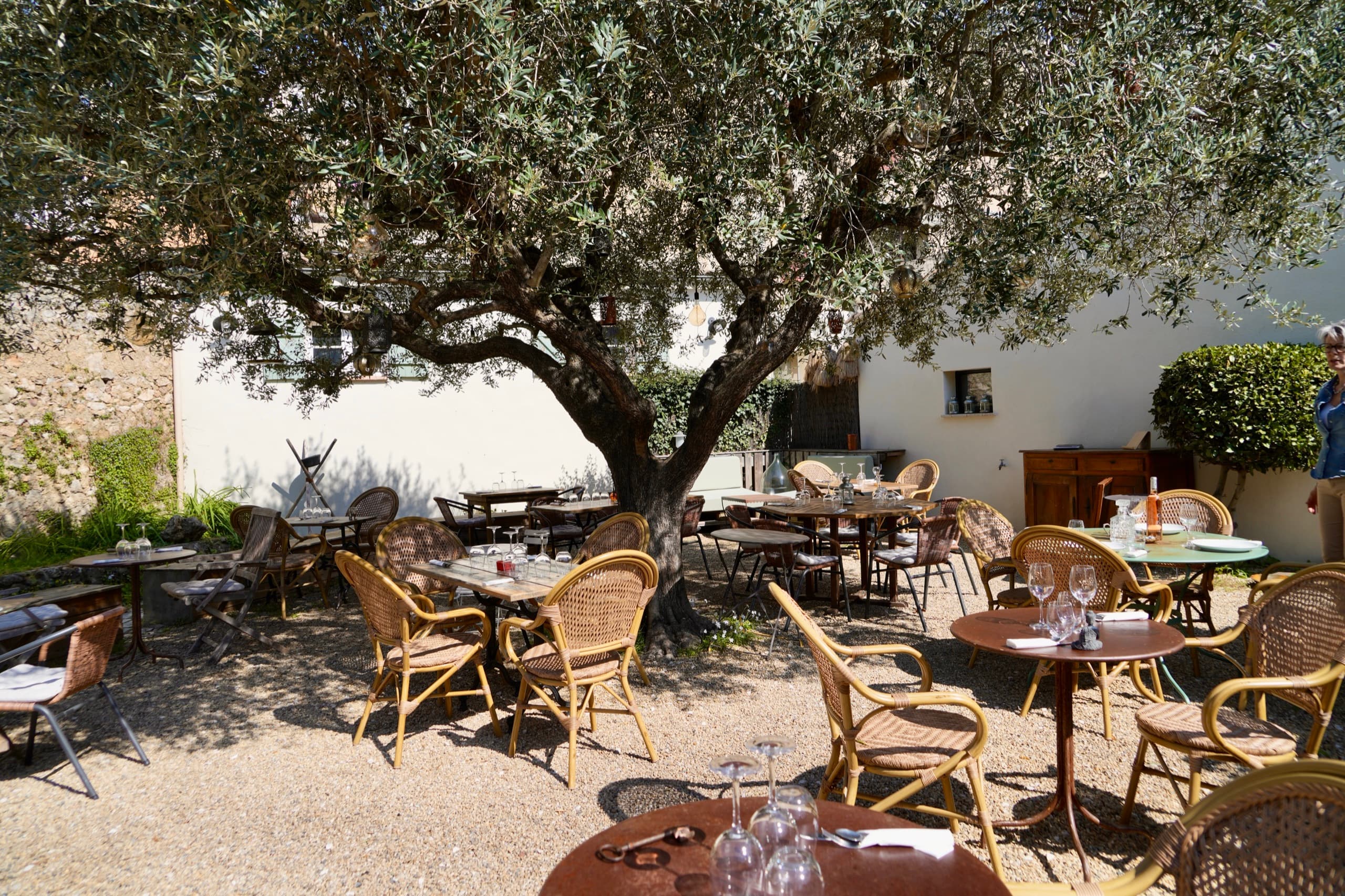 La terrasse entière sous l'olivier, tables dressées pour un événement